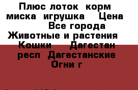 Плюс лоток, корм, миска, игрушка. › Цена ­ 50 - Все города Животные и растения » Кошки   . Дагестан респ.,Дагестанские Огни г.